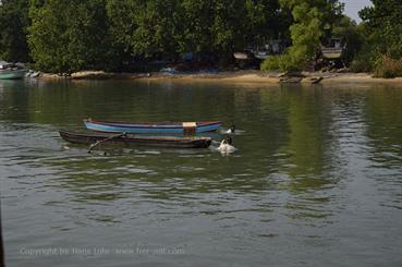 01 River_Sal_Cruise,_Goa_DSC6892_b_H600